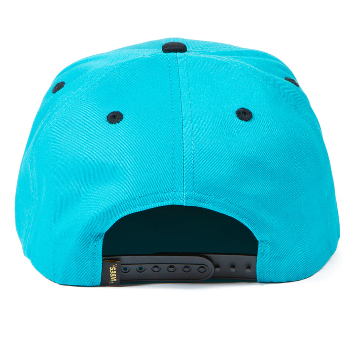 Big Fish Snapback Hat